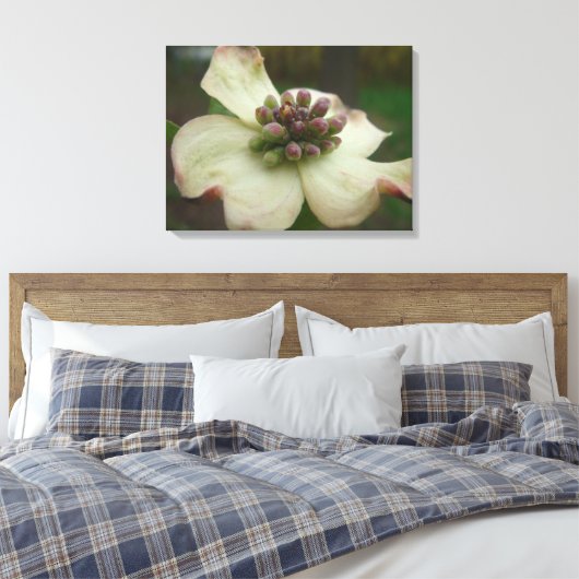 Dogwood Blossom Fotografie Canvas Afdruk (Insitu (Slaapkamer))