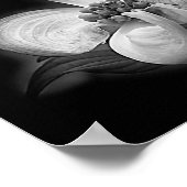 Dogwood Blossom in zwart-wit Poster (Hoek)