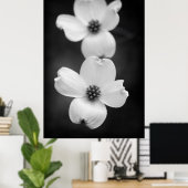 Dogwood Blossom in zwart-wit Poster (Thuiskantoor)
