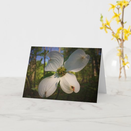 Dogwood Blossom, kaart (Gele Bloem)