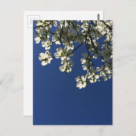 Dogwood Blossom Kaarten (Voorkant / Achterkant)