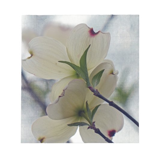 Dogwood Blossom Notitieblok (Voorkant)