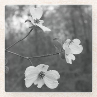 "Dogwood Blossom" Oorspronkelijke kunst van KAS Glazen Onderzetter