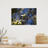 Dogwood Blossom Poster (Keuken)