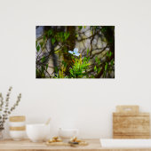 Dogwood Blossom Poster (Keuken)