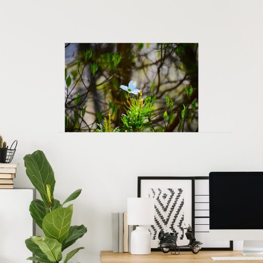 Dogwood Blossom Poster (Thuiskantoor)