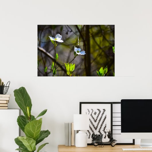 Dogwood Blossom Poster (Thuiskantoor)