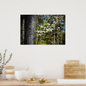 Dogwood Blossom Poster (Keuken)
