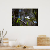 Dogwood Blossom Poster (Keuken)