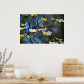 Dogwood Blossom Poster (Keuken)