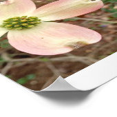 Dogwood Blossom Poster (Hoek)