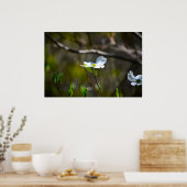 Dogwood Blossom Poster (Keuken)