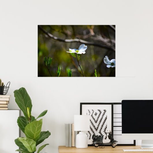 Dogwood Blossom Poster (Thuiskantoor)