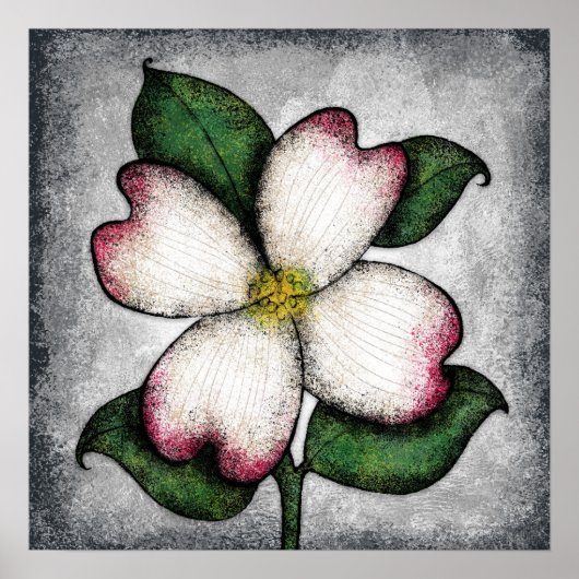 Dogwood Blossom Poster Wall Art (Voorkant)