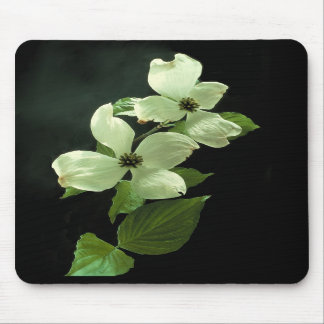 Dogwood Blossum Mousepad Muismat