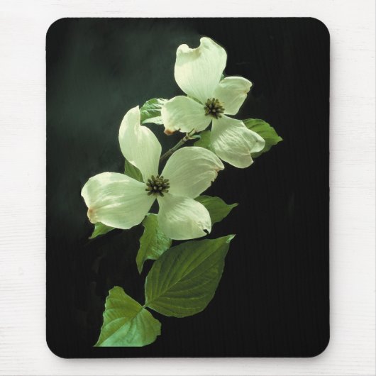 Dogwood Blossum Mousepad Muismat (Voorkant)