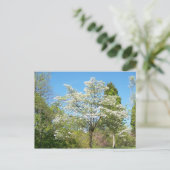Dogwood Briefkaart (Staand voorkant)
