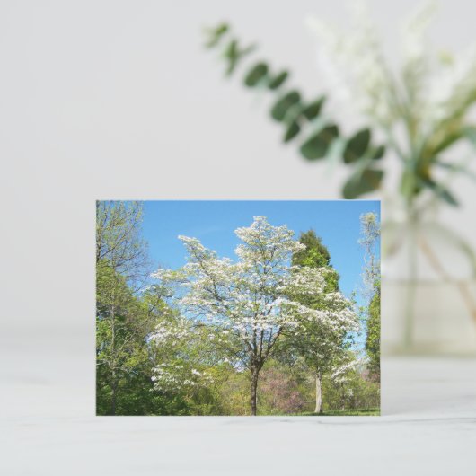 Dogwood Briefkaart (Staand voorkant)