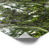 Dogwood Bubbles.... Poster (Hoek)