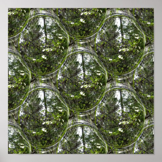 Dogwood Bubbles.... Poster (Voorkant)