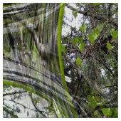 Dogwood Bubbles.... Stof (Swatch)