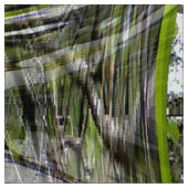 Dogwood Bubbles.... Stof (Close Up)