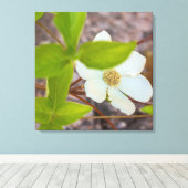 Dogwood Canvas Afdruk (Insitu (Houten vloer))