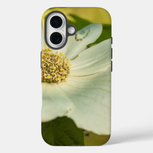 Dogwood iPhone 16 Hoesje