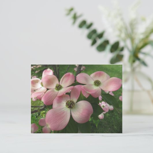 Dogwood Cluster Briefkaart (Staand voorkant)
