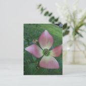 Dogwood Cross Briefkaart (Staand voorkant)
