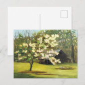 Dogwood Days Briefkaart (Voorkant / Achterkant)