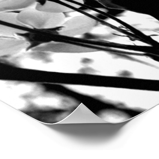 Dogwood Days Poster (Hoek)