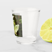 Dogwood en sequoia's shot glas (Rechts)