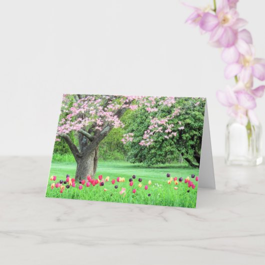 Dogwood en tulpen kaart (Orchidee)