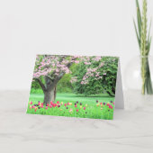 Dogwood en tulpen kaart (Voorkant)