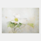 Dogwood Floral Art Decoupage Papier Inpakpapier Vel (Voorkant 2)