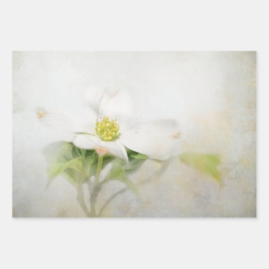 Dogwood Floral Art Decoupage Papier Inpakpapier Vel (Voorkant 2)
