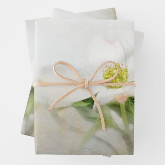 Dogwood Floral Art Decoupage Papier Inpakpapier Vel (In situ)