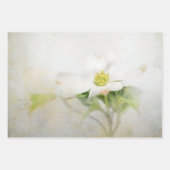 Dogwood Floral Art Decoupage Papier Inpakpapier Vel (Voorkant)