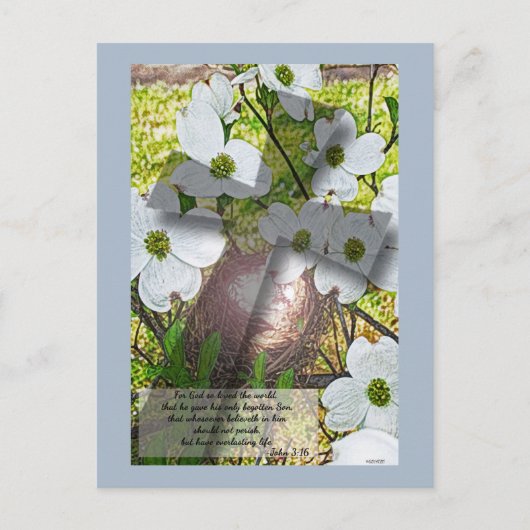 Dogwood Flower and Cross w/John 3:16 Briefkaart (Voorkant)