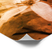 Dogwood Flower Black and White  Poster (Hoek)