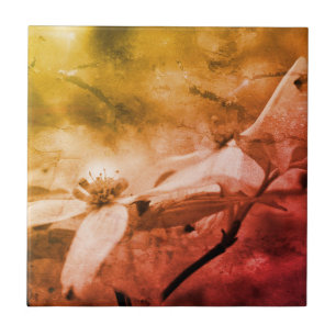 Dogwood Flower Black and White  Tegeltje