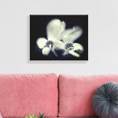 Dogwood Flower Blossom Black and White Canvas Afdruk (Insitu (Woonkamer))