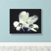 Dogwood Flower Blossom Black and White Canvas Afdruk (Insitu (Houten vloer))