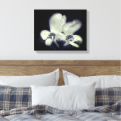 Dogwood Flower Blossom Black and White Canvas Afdruk (Insitu (Slaapkamer))