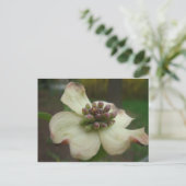 Dogwood Flower Briefkaart (Staand voorkant)