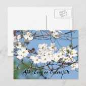 Dogwood Flower briefkaart (Voorkant / Achterkant)
