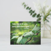 Dogwood Flower Goodness Quote Briefkaart (Staand voorkant)
