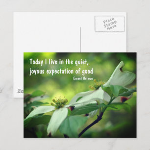 Dogwood Flower Goodness Quote Briefkaart