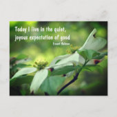 Dogwood Flower Goodness Quote Briefkaart (Voorkant)